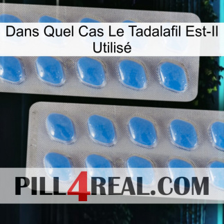 Dans Quel Cas Le Tadalafil Est-Il Utilisé 23